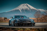 LB-Silhouette WORKS GT 35GT-RR Ver.2 Complete Body kit 【FRP&Dry】