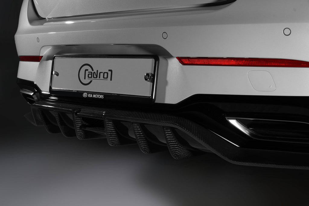 2021-2022 KIA K5 CARBON PROGRAM