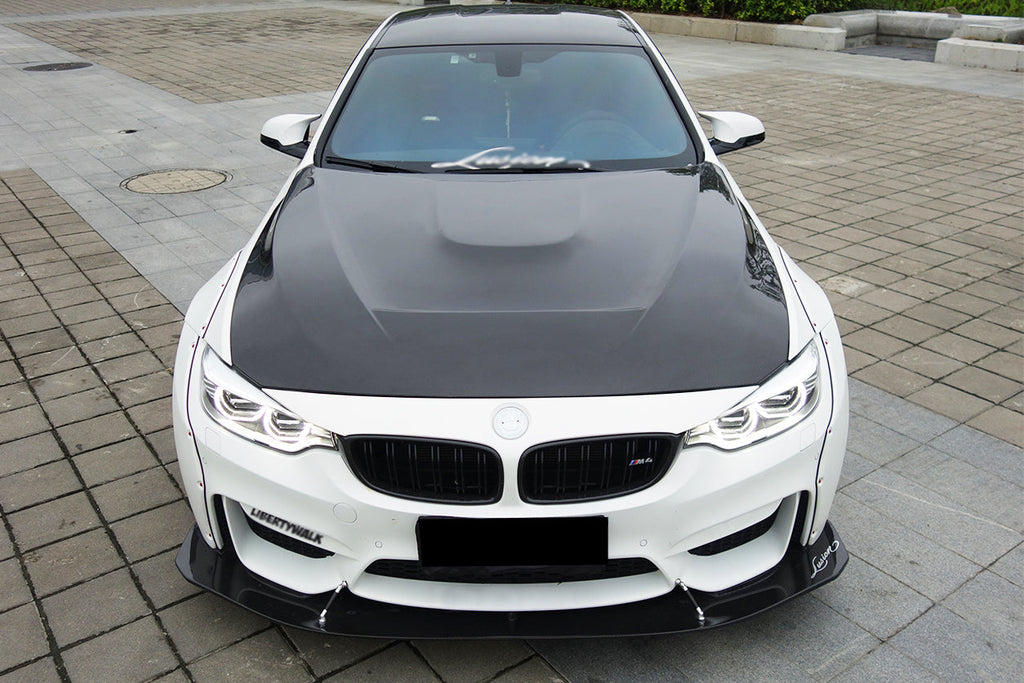 2014-2020 BMW M3/M4 GTS Style Hood